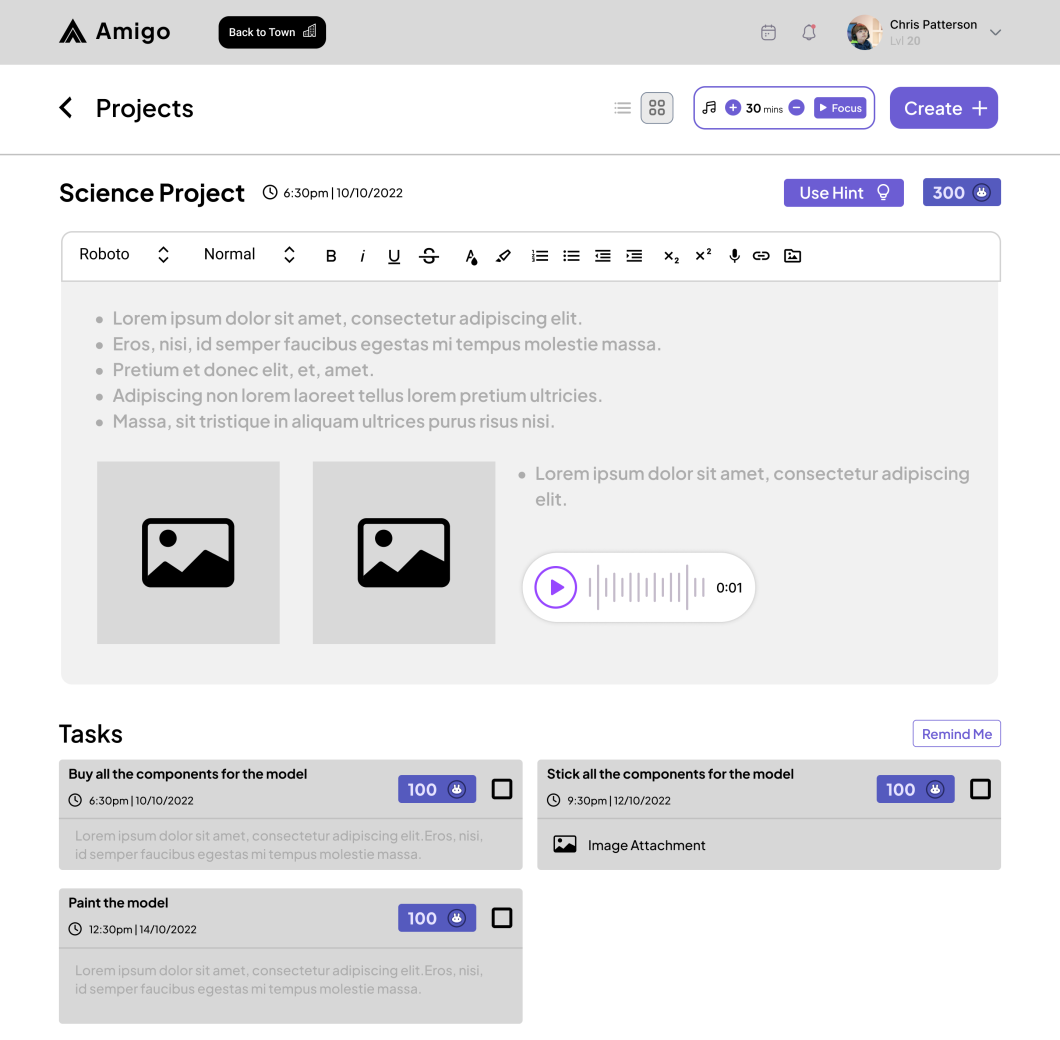 Amigo mid-fidelity — project task details
